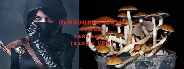 прущий лед Алексеевка