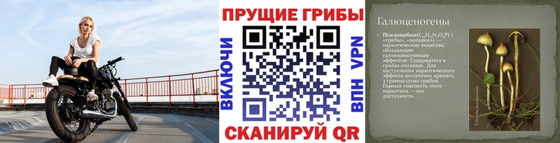 Псилоцибиновые грибы MAGIC MUSHROOMS  Приморск 